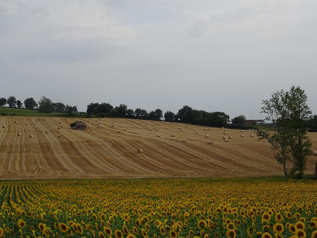 La Maison Des Cornieres Fourcès Exteriér fotografie